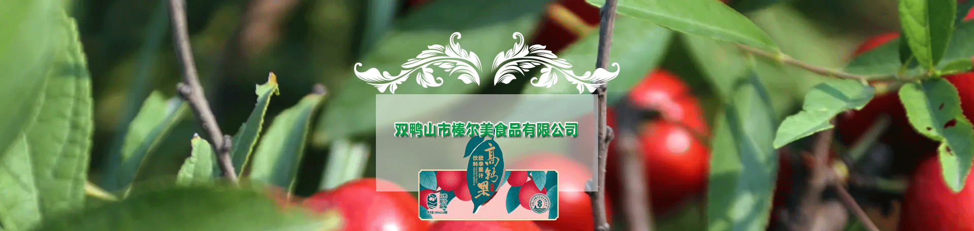 公司簡介